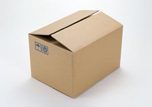 オリジナルプリントｔシャツを作ろう